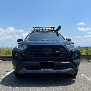 RAV4 MXAA54