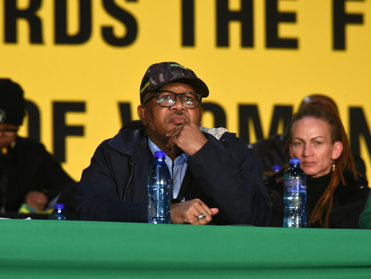 ANC secretary-general Fikile Mbalula expressed support for Zimbabwe's ruling Zanu-PF political party. File photo.