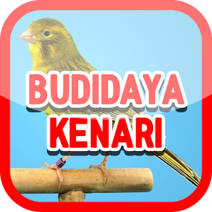 Cara Budidaya Kenari - náhled