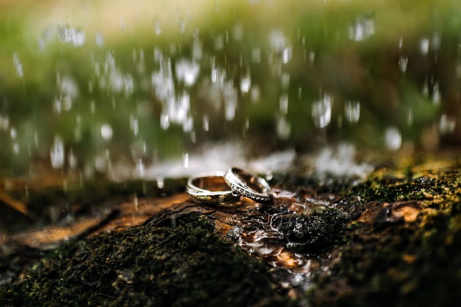 Photographe de mariage Nhan Le (andyle). Photo du 15 juin 2020