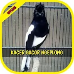 Cover Image of Unduh Masteran Kacer Gacor Ngeplong Kasar 1.0 APK