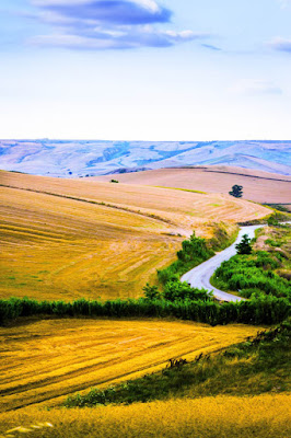 Strada Collinare di gianniturtur