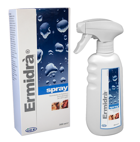 Ermidr Spray, 300ml, 1st Sprayflaska