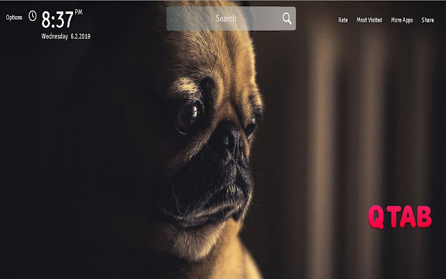 Pugs Wallpapers New Tab