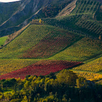 agricoltura multicolor di 