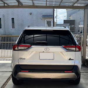 RAV4 MXAA54