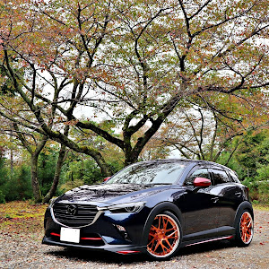 CX-3 DKEFW