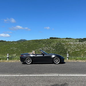 ロードスター ND5RE