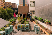 Travellers can get their hands dirty with an urban farming experience through Airbnb.