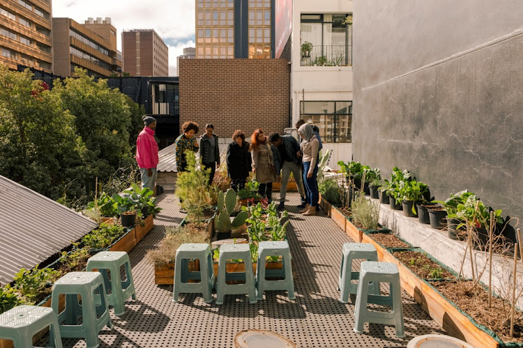 Travellers can get their hands dirty with an urban farming experience through Airbnb.