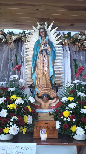 Virgen Del Mercado