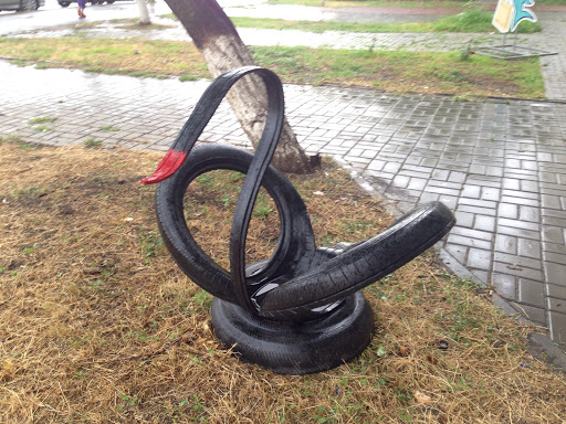 Tire Swan