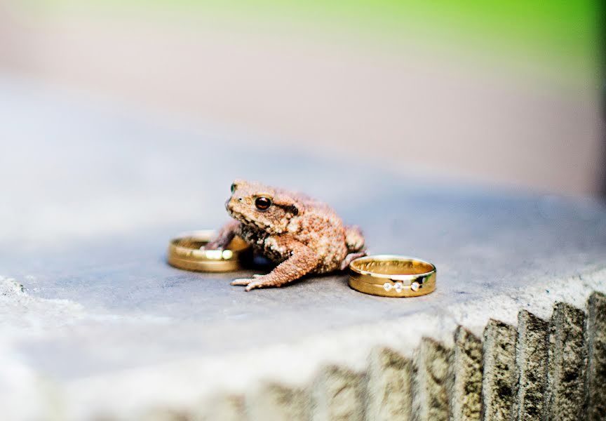 Wedding photographer Magdalena Korzeń (korze). Photo of 27 March 2019