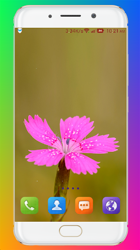 Pink Flower Wallpaper