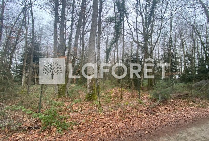  Vente Terrain à bâtir - 3 342m² à Boissy-lès-Perche (28340) 