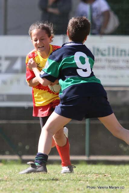 IMAGE: https://lh3.googleusercontent.com/_xoFtBSPgB9Y/TaLT_Rh3QAI/AAAAAAAAD60/tfdHos8bUJ4/s640/IMG_3322.JPG