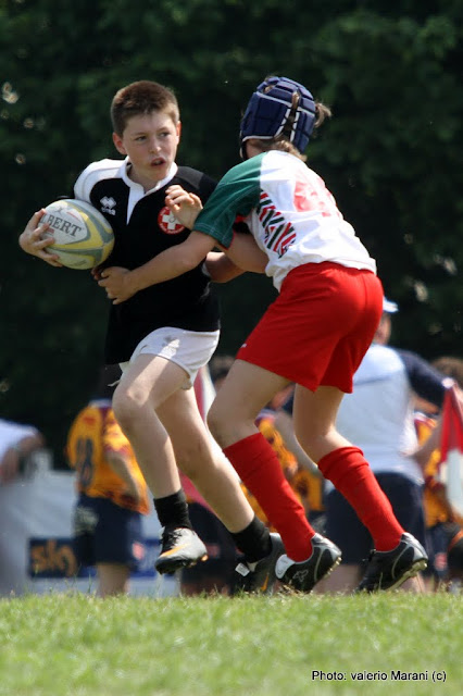 IMAGE: https://lh3.googleusercontent.com/_xoFtBSPgB9Y/Tcl2_IeJCPI/AAAAAAAAEys/FUT7sI7cMF0/s640/IMG_8209.JPG