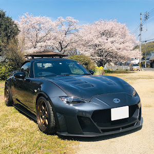ロードスター ND5RC