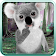 Parler d'ours de koala icon