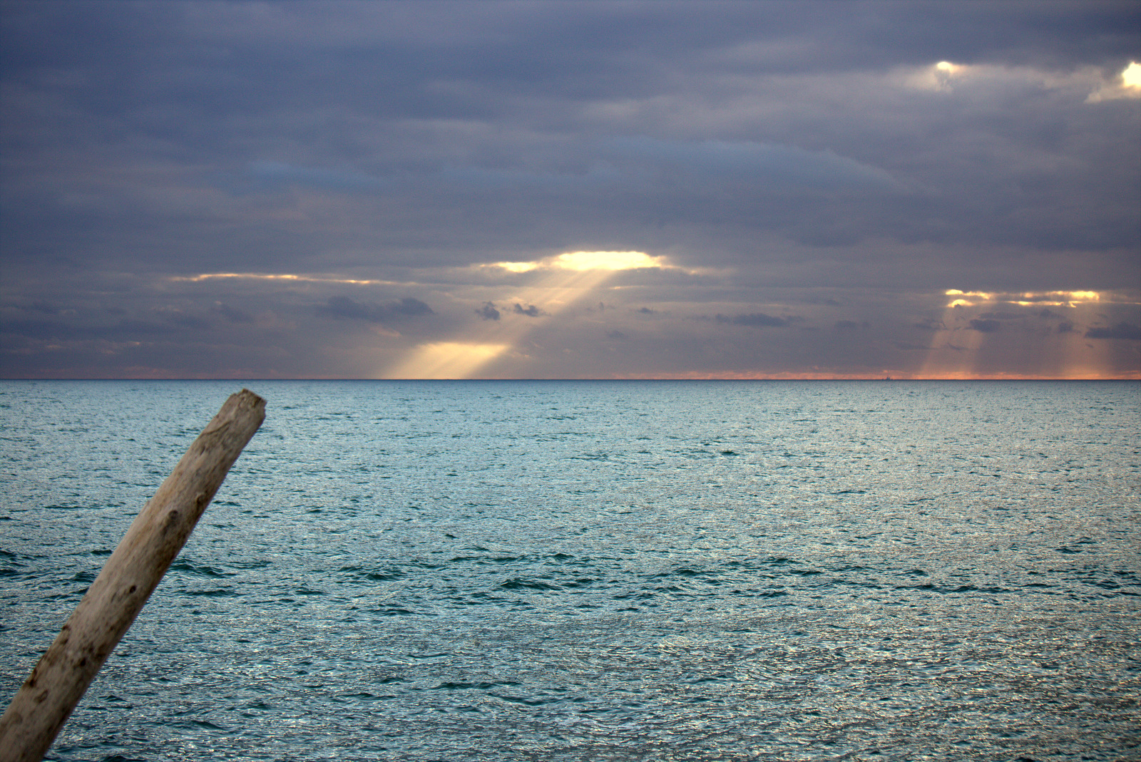 Verso la luce... di Dama