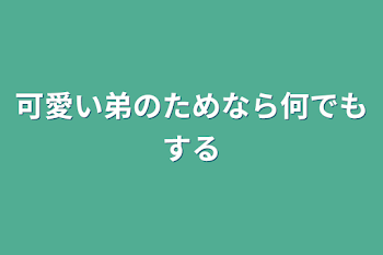 可愛い弟のためなら何でもする