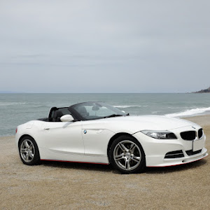 Z4 E89