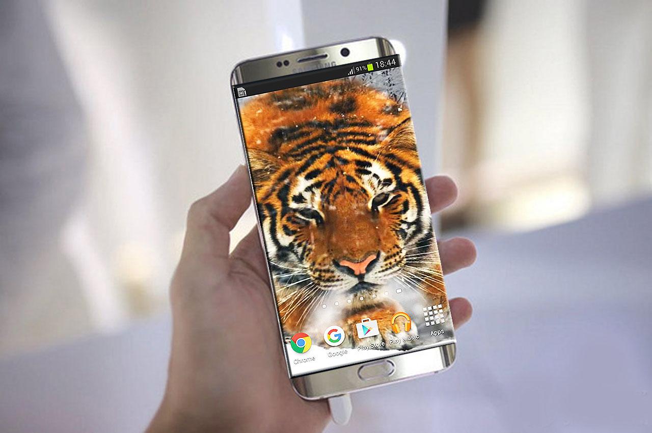 Tiger 3D For IPhone 6S Plus HD Apl Android Di Google Play