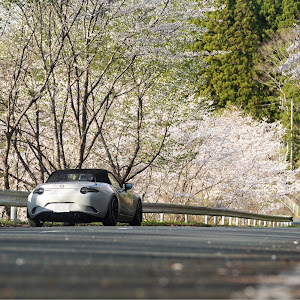 ロードスター ND5RC