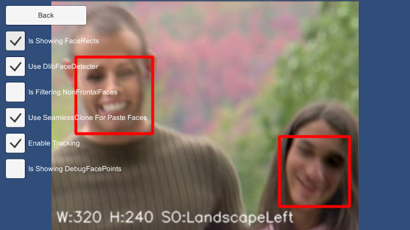FaceSwapper Sample Screen 2