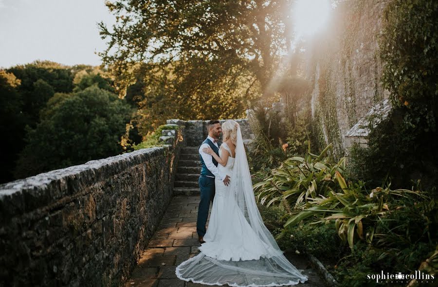 Wedding photographer Sophie Collins (sophiecollins). Photo of 10 June 2019