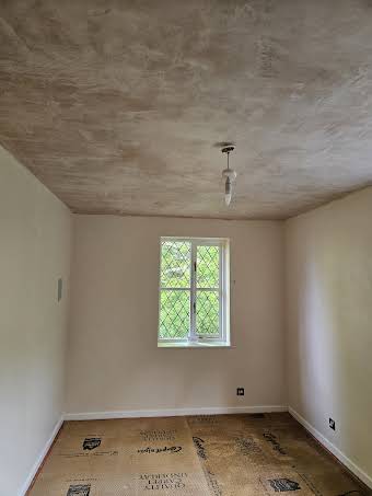 Newly plastered ceiling & painting of walls album cover