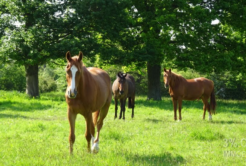  Vente Terrain à bâtir - 752m² à Savenay (44260) 