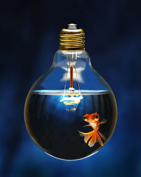 Nicholas Creative Blog Defining Creativity