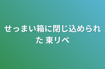 せっまい箱に閉じ込められた  東リベ