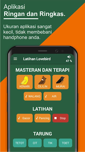 Latihan Suara Lovebird - Master Masteran Lovebird