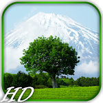 Mount Fuji Video Wallpaper Apk