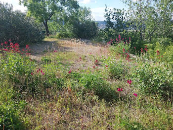 terrain à Salasc (34)