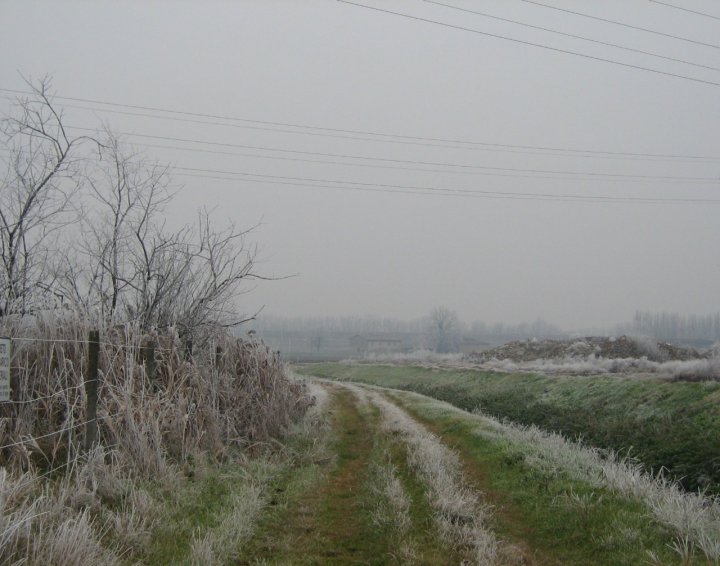 Una mattina d'inverno di Livia