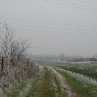 Una mattina d'inverno di 