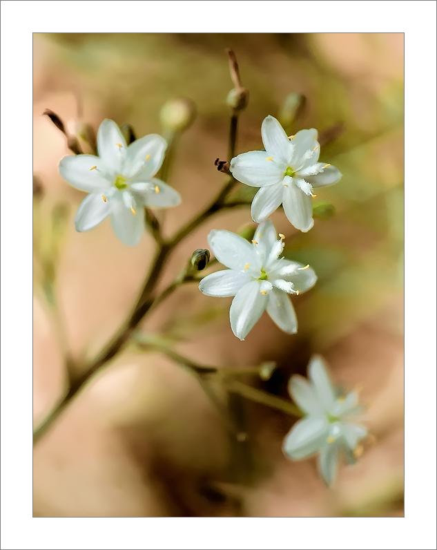 _DSC5950_2-copia.jpg