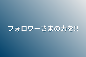 フォロワーさまの力を!!