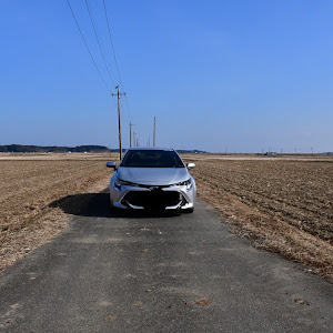 カローラスポーツ NRE210H
