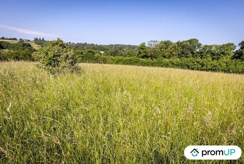  Vente Terrain à bâtir - 5 782m² à Andelaroche (03120) 