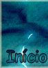 Início