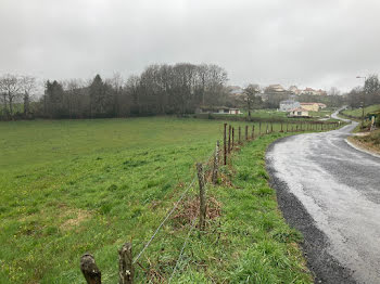 terrain à Lafeuillade-en-Vézie (15)