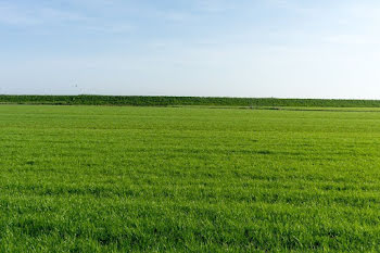 terrain à Athée-sur-Cher (37)