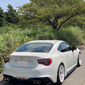 86 ZN6