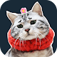 Download Cat Emoji Stickers For Whatsapp(WAStickerApps) For PC Windows and Mac 1.1