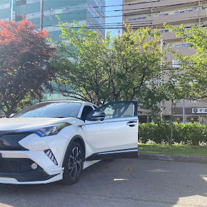 C-HR NGX50