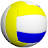 Volleyball 3D1.2